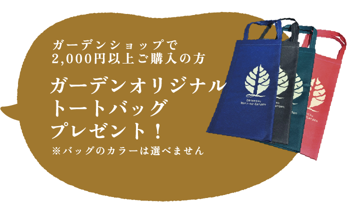 ガーデンショップで2,000円以上ご購入の方ガーデンオリジナルトートバッグプレゼント！※バッグのカラーは選べません