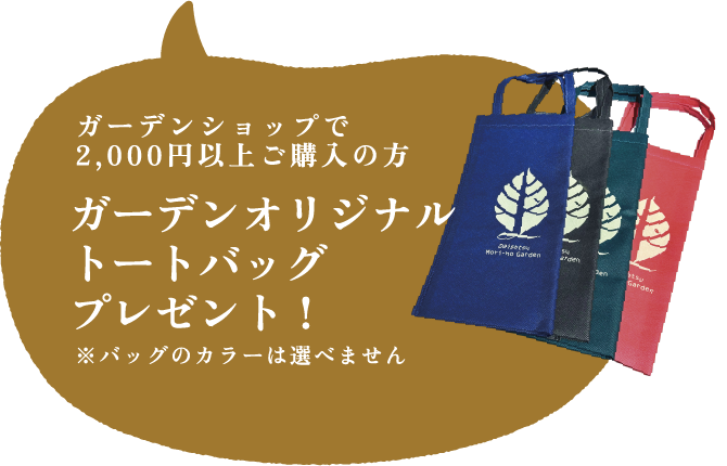 ガーデンショップで2,000円以上ご購入の方ガーデンオリジナルトートバッグプレゼント！※バッグのカラーは選べません