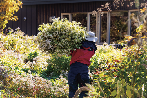 お花プレゼント