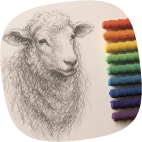 ベルダのおうち