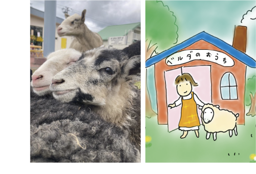 ベルダのおうち