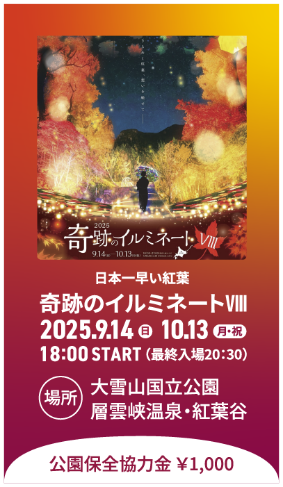 奇跡のイルミネート
